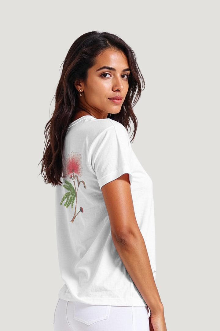 CALIANDRA | TRADICIONAL