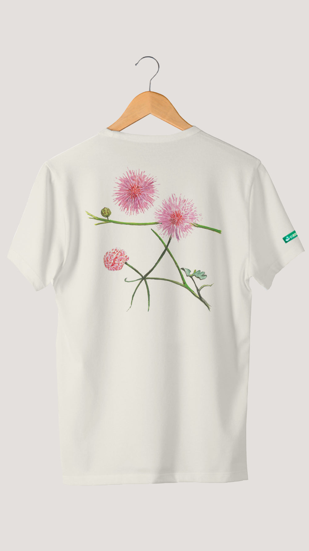 MIMOSA | TRADICIONAL