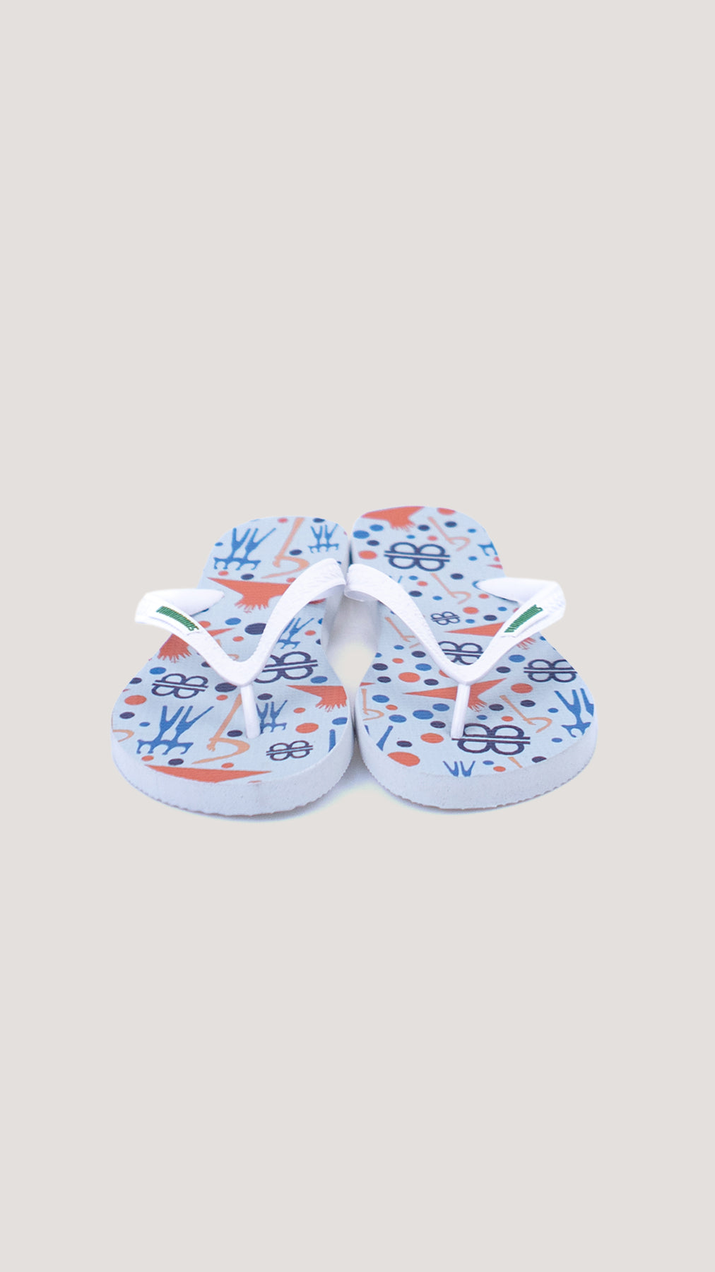 Chinelo Brasília Icônica