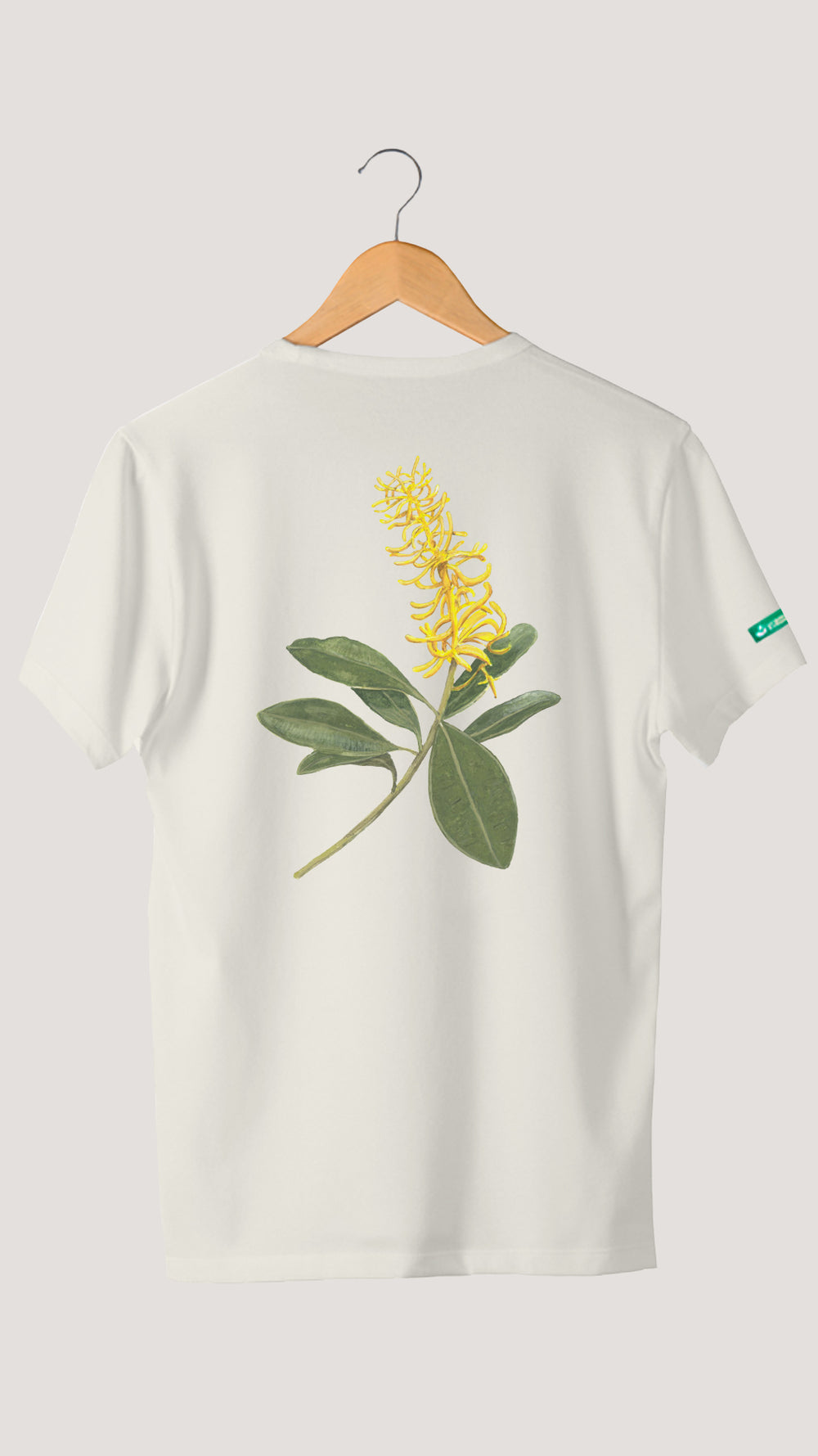 VOCHYSIA | TRADICIONAL