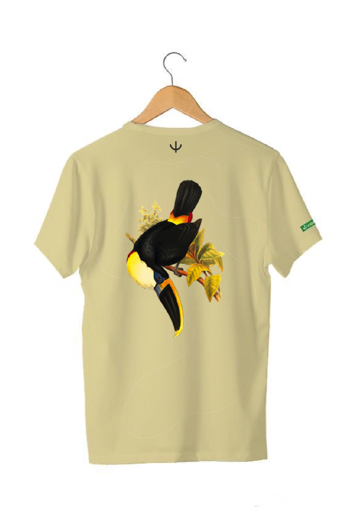 TUCANO DO BICO PRETO | VERDURÃO