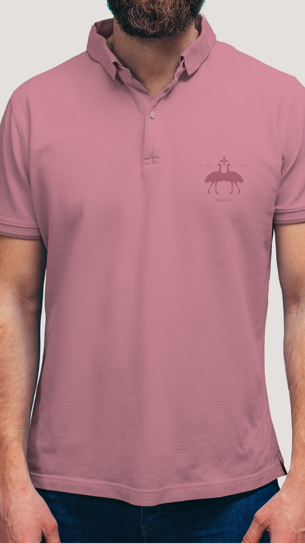 CAMISETA POLO BRASAO EMAS